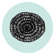 Металлические спирали